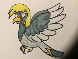 Size: 900x675 | Tagged: safe, artist:tigeressbird324, imported from derpibooru, derpy hooves, bird, pigeon, birdified, female, marker drawing, solo, species swap, traditional art