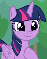 Size: 792x983 | Tagged: safe, imported from derpibooru, screencap, twilight sparkle, alicorn, pony, season 9, the ending of the end, spoiler:s09, adorkable, cropped, cute, dork, female, folded wings, happy, hoof on chest, mare, proud, smiling, solo, twiabetes, twilight sparkle (alicorn), victory, wings