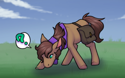 Size: 1280x800 | Tagged: safe, artist:sinclair2013, imported from derpibooru, oc, oc only, pony, bag, clothes, grass, male, saddle bag, scarf, solo, stallion
