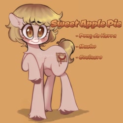 Size: 2048x2048 | Tagged: safe, artist:maririwis, imported from derpibooru, oc, oc only, oc:sweet apple pie, earth pony, pony, looking at you, male, orange background, raised hoof, simple background, solo, spanish, stallion, unshorn fetlocks