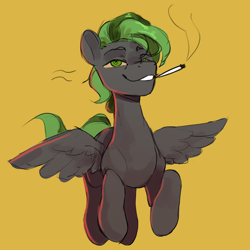 Size: 1446x1446 | Tagged: safe, artist:cadillac-dynamite, imported from derpibooru, oc, oc:ryan celer, pegasus, pony, blunt, drugs, high, male, marijuana, simple background, smoking, solo, stallion