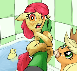 Size: 2824x2625 | Tagged: safe, artist:crade, imported from derpibooru, apple bloom, applejack, oc, oc:anon, earth pony, human, pony, adorable distress, bathtub, brush, clinging, cute, dirt, dirty, female, filly, looking at you, mouth hold, open mouth, rubber duck, scared, signature, smiling, sweat, sweatdrops, tile