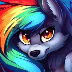 Size: 1000x1000 | Tagged: safe, imported from derpibooru, rainbow dash, wolf, ai content, ai generated, generator:stable diffusion, looking at you, solo, species swap, wolf dash, wolfified, wrong eye color