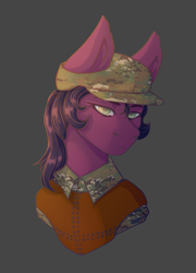 Size: 1800x2500 | Tagged: safe, artist:lazymishel, imported from derpibooru, earth pony, pony, fallout equestria, fallout equestria: dead tree, armor, balefire blues, camouflage, clothes, female, flashlight (object), hazel eyes, male, mare, purple fur, purple mane, shipping, silver alliance (dead tree), soldier, straight, uniform, uniform hat, unit template, yellow mane