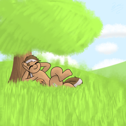 Size: 2048x2048 | Tagged: source needed, safe, artist:zugatti69, imported from derpibooru, oc, oc only, pegasus, pony, brown hair, brown mane, brown tail, cute, cute face, cute smile, eyes closed, grass, grass field, grey hair, lying down, male, relaxing, signature, smiling, tail, tree