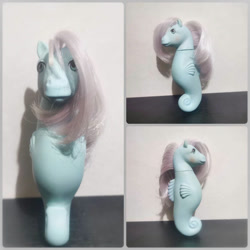 Size: 894x894 | Tagged: safe, imported from derpibooru, photographer:graceplatz, seawinkle, sea pony, g1, irl, photo, solo, toy