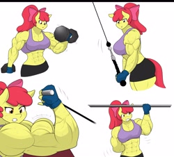 Size: 4096x3705 | Tagged: safe, artist:matchstickman, imported from derpibooru, apple bloom, anthro, earth pony, apple bloom's bow, apple brawn, arm behind back, biceps, bow, breasts, busty apple bloom, clothes, comic, deltoids, dumbbell (object), female, fingerless gloves, flexing, gloves, hair bow, mare, matchstickman's apple brawn series, muscles, muscular female, older, older apple bloom, pecs, simple background, solo, sweat, thighs, thunder thighs, triceps, weight lifting, weights, white background