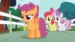 Size: 1920x1080 | Tagged: safe, imported from derpibooru, screencap, apple bloom, scootaloo, sweetie belle, earth pony, pegasus, pony, unicorn, flight to the finish, season 4, apple bloom's bow, blank flank, bow, cute, cutie mark crusaders, female, filly, foal, hair bow, trio