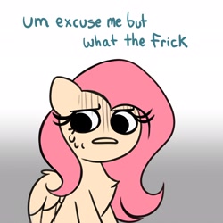 Size: 2048x2048 | Tagged: safe, artist:confetticakez, imported from derpibooru, fluttershy, pegasus, pony, chest fluff, excuse me what the fuck, female, gradient background, mare, reaction image, solo, sweat, vulgar, wtf