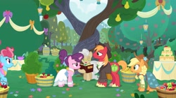 Size: 2160x1207 | Tagged: safe, imported from derpibooru, screencap, applejack, big macintosh, cup cake, mayor mare, sugar belle, earth pony, pony, unicorn, the big mac question, alternate hairstyle, apple, apple tree, banner, basket, bolo tie, book, braid, bride, bush, cake, clothes, dress, food, formal wear, gown, groom, hat, intertwined trees, lantern, marriage, pear, pear tree, smiling, table, tree, wedding, wedding dress