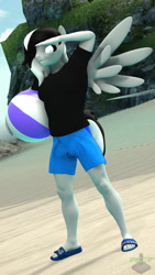 Size: 1080x1920 | Tagged: safe, artist:ray cyber tech, imported from derpibooru, oc, oc:sound shock, anthro, pegasus, plantigrade anthro, 3d, anthro oc, beach, beach ball, clothes, flip flops, male, shirt, shorts, solo, watermark