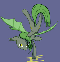 Size: 661x680 | Tagged: safe, artist:taffy, imported from derpibooru, oc, oc only, oc:poison, bat pony, balancing, bat pony oc, bat wings, blue background, female, looking at you, mare, simple background, solo, spread wings, tail, wings