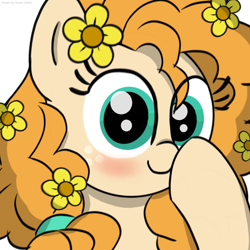 Size: 2048x2048 | Tagged: safe, artist:super-dead, imported from derpibooru, pear butter, earth pony, pony, blushing, boop, female, flower, hooves on face, looking at you, self-boop, simple background, solo, white background