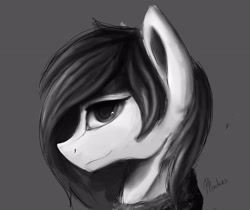 Size: 2325x1951 | Tagged: safe, artist:minckies, imported from derpibooru, oc, oc only, earth pony, pony, bust, earth pony oc, grayscale, monochrome, signature, solo