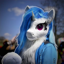 Size: 1999x1999 | Tagged: safe, artist:essorille, artist:vinylpone, imported from derpibooru, dj pon-3, vinyl scratch, anthro, human, pony, unicorn, blue mane, blurry background, chest fluff, clothes, cosplay, costume, cute, female, furry, fursuit, gloves, hoodie, hooves, irl, irl human, looking at you, mare, outdoors, photo, photography, ponysuit, pose, posing for photo, public, purple eyes, ruffled hair, tree