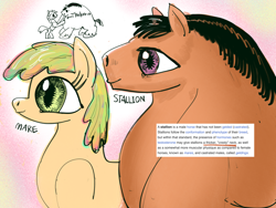 Size: 4000x3000 | Tagged: safe, artist:ja0822ck, imported from derpibooru, oc, oc only, earth pony, pony, duo, female, long neck, male, mare, necc, side view, stallion, thick, wikipedia