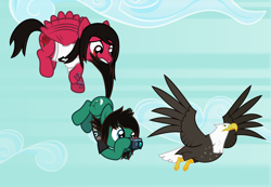 Size: 2976x2062 | Tagged: safe, artist:lightningbolt, derpibooru exclusive, imported from derpibooru, bald eagle, bird, eagle, earth pony, pegasus, pony, .svg available, beak, bring me the horizon, camera, carrying, clothes, cloud, duo, duo male, fluttering, flying, hoof hold, lip piercing, male, mike fuentes, photography, pierce the veil, piercing, ponified, shirt, show accurate, sky, spread wings, stallion, struggling, svg, sweat, t-shirt, tail, tail pull, talons, tattoo, tom sykes, vector, wings