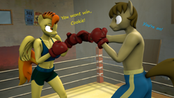 Size: 1920x1080 | Tagged: safe, artist:fuzeamateursfm, imported from derpibooru, part of a set, spitfire, oc, oc:chocolate chips, anthro, earth pony, pegasus, 3d, anthro oc, boxing, boxing gloves, boxing ring, canon x oc, dialogue, duo, duo male and female, female, firechips, male, shipping, source filmmaker, sports, straight, text