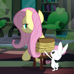 Size: 1080x1080 | Tagged: safe, imported from derpibooru, screencap, angel bunny, fluttershy, pegasus, pony, rabbit, putting your hoof down, season 2, animal, chair, cropped, duo, duo male and female, female, fluttershy's cottage (interior), frown, looking back, male, mare, out of context, rope, tied to chair, tied up