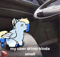 Size: 360x343 | Tagged: safe, artist:insomniracc, imported from derpibooru, oc, oc only, oc:azure opus, pegasus, pony, :<, blind, car, car interior, commission, ear fluff, ear piercing, meme, piercing, ponified animal photo, smol, solo, tail, two toned mane, two toned tail, ych result