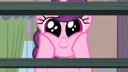 Size: 2560x1440 | Tagged: safe, imported from derpibooru, screencap, sugar belle, pony, unicorn, hard to say anything, season 7, cute, daaaaaaaaaaaw, dhx is trying to murder us, dilated pupils, female, hnnng, hooves on cheeks, looking at you, mare, oh my gosh, shelf, smiling, solo, staring into your soul, sugarbetes, surprised, weapons-grade cute
