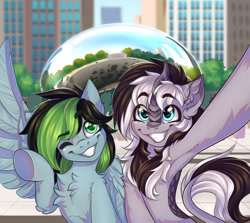 Size: 2800x2500 | Tagged: safe, artist:falafeljake, imported from derpibooru, oc, oc:stripes, oc:weo, kirin, pegasus, pony, armpits, chest fluff, city, cloud gate, duo, ear fluff, grin, high res, one eye closed, one wing out, selfie, smiling, spread wings, underhoof, wings