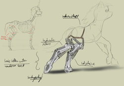 Size: 3508x2421 | Tagged: safe, artist:felfox, imported from derpibooru, earth pony, pony, robot, amputee, anatomy, bone, prosthetic limb, prosthetics, robotic legs, skeleton, solo