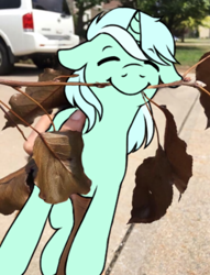 Size: 744x974 | Tagged: artist needed, source needed, safe, edit, imported from derpibooru, lyra heartstrings, human, pony, unicorn, behaving like a dog, female, holding a pony, irl, photo, ponified animal photo, smiling, stick