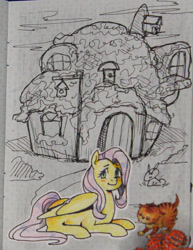 Size: 1495x1938 | Tagged: safe, artist:erein, imported from derpibooru, fluttershy, pegasus, pony, ears up, solo, traditional art