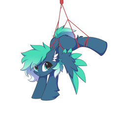 Size: 8480x7981 | Tagged: safe, artist:verlista, imported from derpibooru, oc, oc only, oc:kishy, pegasus, pony, bondage, female, high res, looking at you, mare, rope, rope bondage, shibari, simple background, solo, spread wings, white background, wings