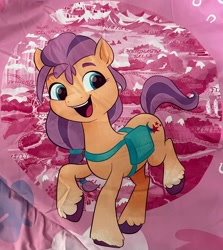 Size: 2956x3307 | Tagged: safe, imported from derpibooru, sunny starscout, earth pony, pony, bag, bedding, close-up, coat markings, cropped, female, g5, irl, map of equestria, mare, merchandise, missing accessory, photo, saddle bag, socks (coat markings), solo, unshorn fetlocks