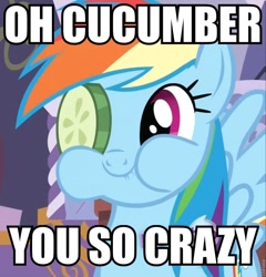 Size: 768x800 | Tagged: safe, edit, edited screencap, imported from derpibooru, screencap, rainbow dash, pony, ponyville confidential, caption, cropped, cucumber, cucumber monocle, cucumber pirate, cute, dashabetes, female, food, herbivore, image macro, mare, meme, solo, text