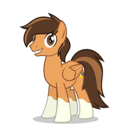 Size: 2800x2800 | Tagged: safe, artist:oblivionfall, imported from derpibooru, oc, oc only, oc:murphneigh, pegasus, pony, coat markings, pegasus oc, simple background, socks (coat markings), solo, transparent background, vector