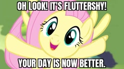 Size: 640x359 | Tagged: safe, edit, edited screencap, imported from derpibooru, screencap, fluttershy, pegasus, pony, bronybait, caption, fluttershy day, image macro, looking at you, meme, open mouth, open smile, smiling, subverted meme, text, your day is ruined