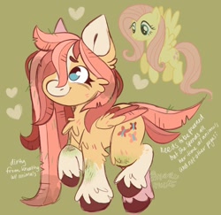 Size: 1086x1054 | Tagged: safe, artist:marleemutt, imported from derpibooru, fluttershy, pegasus, pony, alternate design, ear cleavage, green background, hooves, reference sheet, simple background, smiling, solo, wings