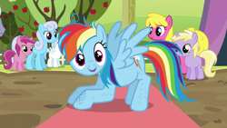 Size: 1280x720 | Tagged: safe, imported from derpibooru, screencap, rainbow dash, pony, brotherhooves social
