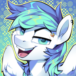 Size: 1000x1000 | Tagged: safe, artist:breloomsgarden, imported from derpibooru, oc, oc:waterspout, pegasus, pony, avatar, bust, cocky, ear piercing, eyebrow piercing, eyebrows, grin, looking at you, male, open mouth, piercing, portrait, raised eyebrow, smiling, smiling at you, smug, solo, stallion