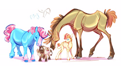 Size: 2048x1138 | Tagged: safe, artist:shirecorn, imported from derpibooru, carrot cake, cup cake, pound cake, pumpkin cake, earth pony, pegasus, pony, unicorn, beak, cake twins, cloven hooves, female, foal, group, horn, leonine tail, male, redesign, siblings, simple background, tail, twins, white background, wings