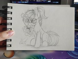 Size: 4608x3456 | Tagged: safe, artist:julunis14, imported from derpibooru, oc, oc only, oc:nebula flare, pony, unicorn, book, ear fluff, ear piercing, earring, female, glasses, horn, irl, jewelry, magic, magic aura, mare, no source available, photo, piercing, reading, signature, sitting, sketch, telekinesis, traditional art, unicorn oc