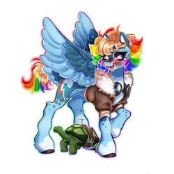 Size: 1080x1080 | Tagged: safe, artist:shinysolaria, imported from derpibooru, rainbow dash, tank, pegasus, pony, tortoise, bomber jacket, clothes, colored wings, duo, goggles, jacket, redesign, short mane, simple background, tail, tail feathers, two toned wings, white background, wings