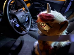 Size: 2048x1536 | Tagged: artist needed, safe, imported from derpibooru, oc, oc:rose glow, car, irl, photo, plushie