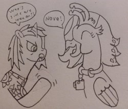 Size: 2356x2018 | Tagged: safe, artist:supahdonarudo, derpibooru exclusive, imported from derpibooru, oc, oc only, oc:ironyoshi, oc:sea lilly, hippogriff, pony, unicorn, angry, camera, clothes, happy, jewelry, monochrome, necklace, shirt, simple background, sketch