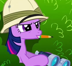 Size: 454x415 | Tagged: safe, imported from derpibooru, screencap, twilight sparkle, pony, feeling pinkie keen, binoculars, bush, cropped, hat, pencil, pith helmet, solo