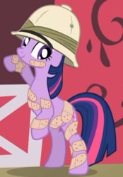Size: 362x519 | Tagged: safe, imported from derpibooru, screencap, twilight sparkle, pony, unicorn, feeling pinkie keen, bandaid, cropped, hat, pith helmet, smiling, solo