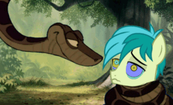 Size: 900x547 | Tagged: safe, artist:ocean lover, imported from derpibooru, sandbar, earth pony, pony, python, snake, animated, bush, coils, cute, disney, forest, forest background, hypno eyes, hypnosis, hypnotized, jungle, kaa, leaves, looking at each other, looking at someone, male, path, smiling, smirk, squeeze, teenager, the jungle book, tree, two toned mane, wrapped up