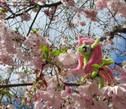 Size: 2098x1822 | Tagged: safe, alternate version, artist:malte279, imported from derpibooru, part of a set, fluttershy, pony, chenille, chenille stems, chenille wire, cherry blossoms, cherry tree, craft, flower, flower blossom, irl, part of a series, photo, pipe cleaner sculpture, pipe cleaners, tree