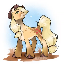 Size: 1440x1440 | Tagged: safe, artist:shinysolaria, imported from derpibooru, applejack, earth pony, pony, coat markings, redesign, solo