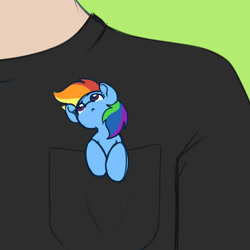 Size: 1500x1500 | Tagged: safe, artist:koapony, imported from derpibooru, rainbow dash, human, pegasus, pony, :<, clothes, female, looking up, mare, micro, offscreen character, offscreen human, pocket pony, shirt, solo