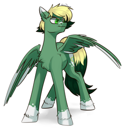 Size: 2268x2352 | Tagged: safe, artist:chibadeer, imported from derpibooru, oc, oc only, oc:inex code, pegasus, pony, colored wings, colored wingtips, male, simple background, solo, spread wings, tail, two toned mane, two toned tail, two toned wings, white background, wings