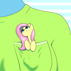 Size: 1500x1500 | Tagged: safe, artist:koapony, imported from derpibooru, fluttershy, human, pegasus, pony, :<, clothes, cute, female, looking up, mare, micro, offscreen character, offscreen human, pocket pony, shirt, shyabetes, solo